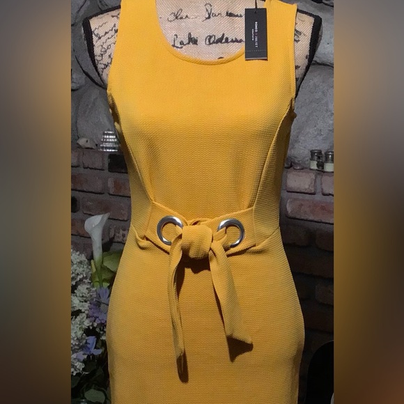 ROMEO & JULIET Couture $95 NWT Midi Dress🍁 - Picture 1 of 13